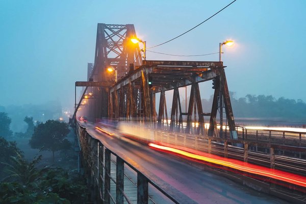 Quels sont les bienfaits de la musicothérapie pour un chat de race American Wirehair?
